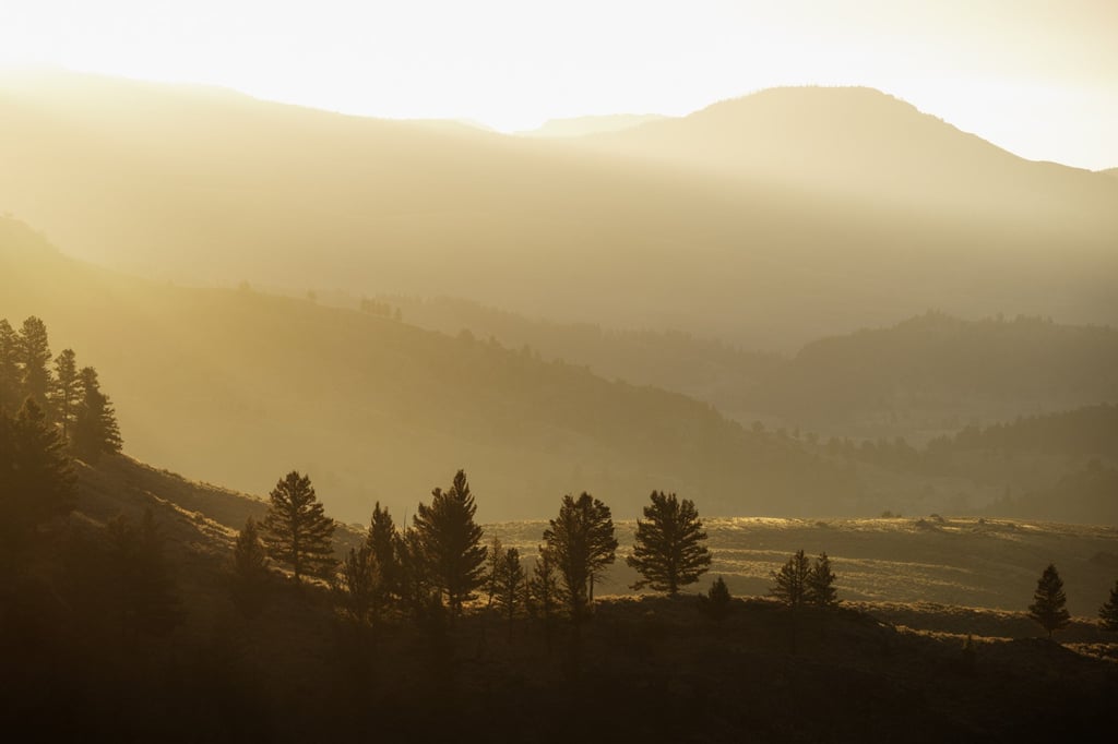 Sunrise over Yellowstone National Park. Photo: Daniel Allen