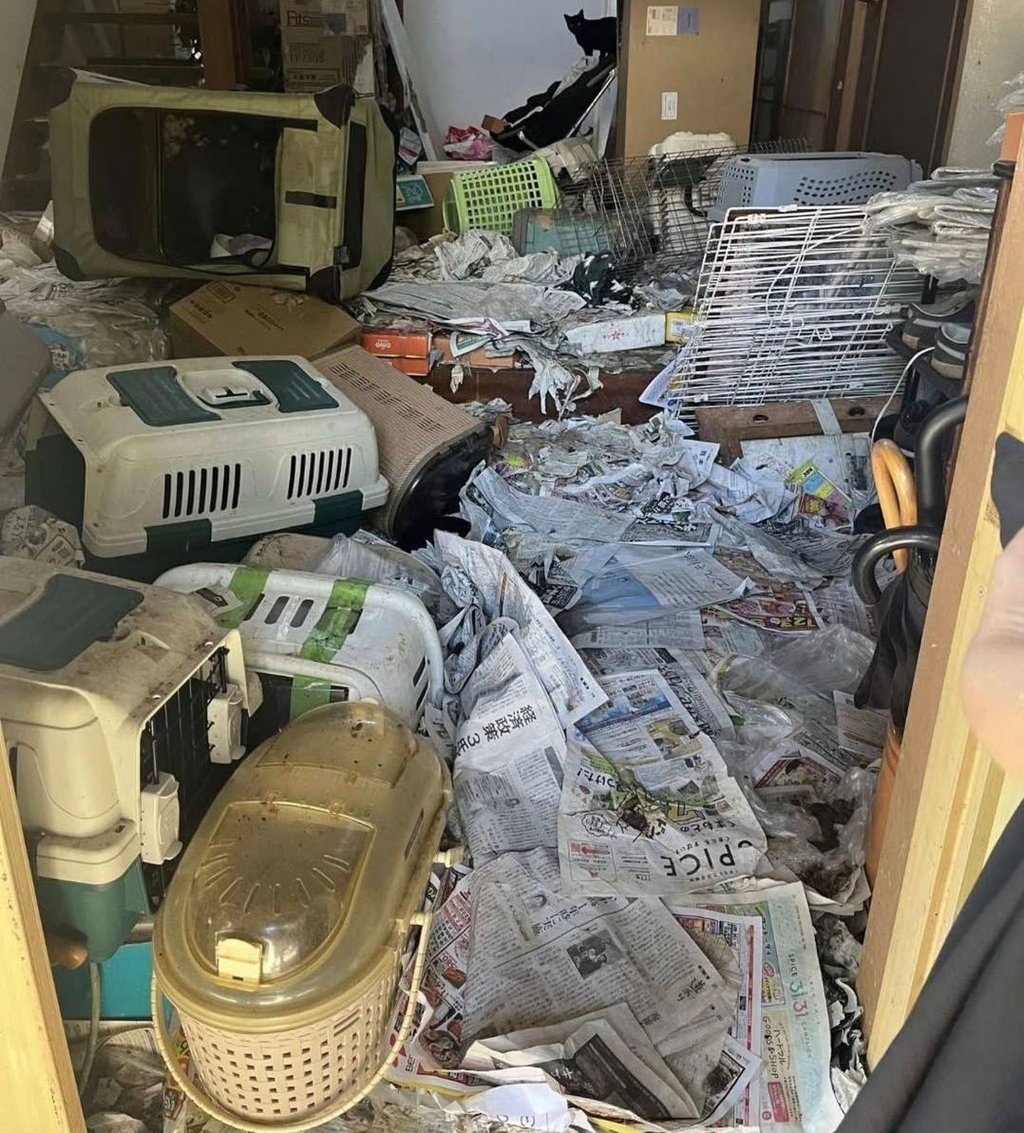 Around 150 dead cats were discovered in the squalid home of a woman who belonged to an animal welfare group in southwest Japan. Photo: Instagram/Animal Assist Senju Around 150 dead cats were discovered in the squalid home of a woman who belonged to an animal welfare group in southwest Japan. Photo: Instagram/Animal Assist Senju