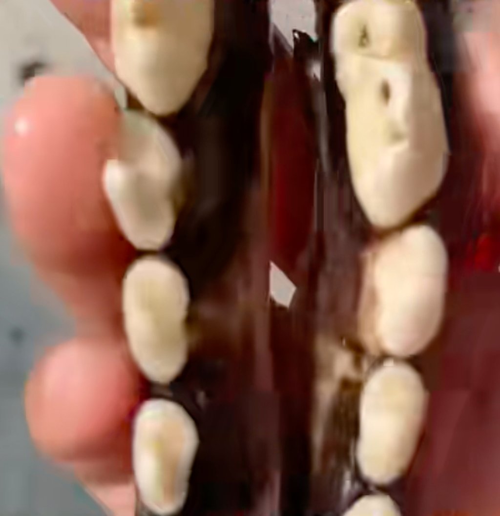 Once extracted, the animals’ teeth are sold to people who believe they prevent misfortune. Photo: handout Once extracted, the animals’ teeth are sold to people who believe they prevent misfortune. Photo: handout