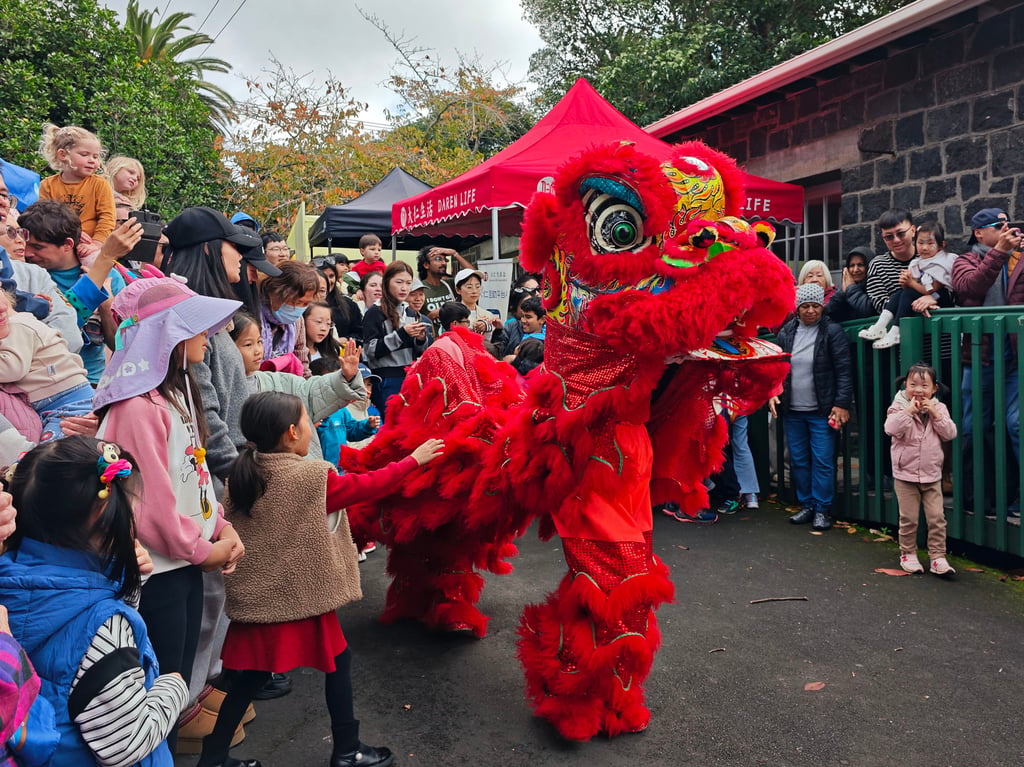 People watch a lion dance during an event celebrating Dragon Boat Festival in Auckland, New Zealand, last month. Photo: Xinhua People watch a lion dance during an event celebrating Dragon Boat Festival in Auckland, New Zealand, last month. Photo: Xinhua