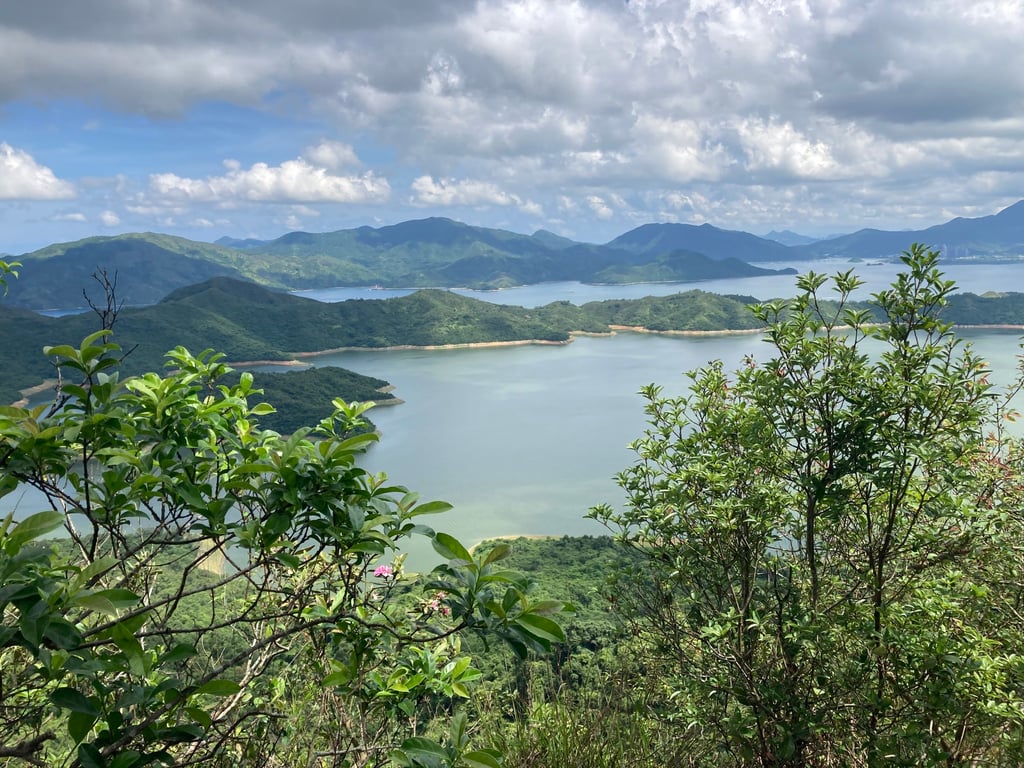 The view from the Argyle Ross Trail. Photo: Handout