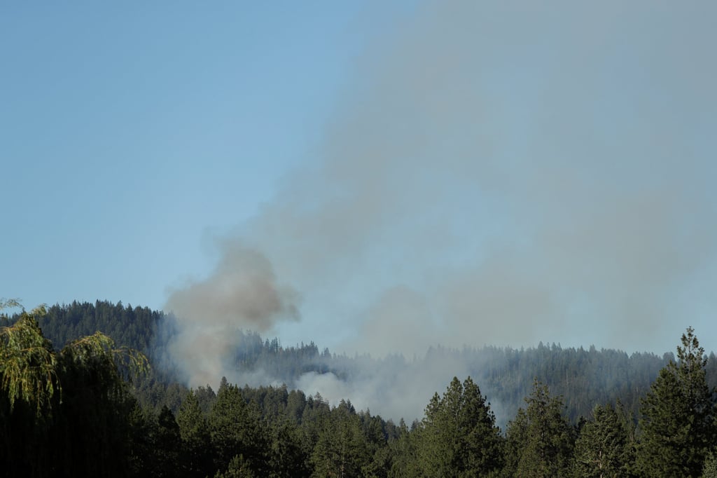 Smoke rises after multiple firefighters were attacked. Photo: Reuters