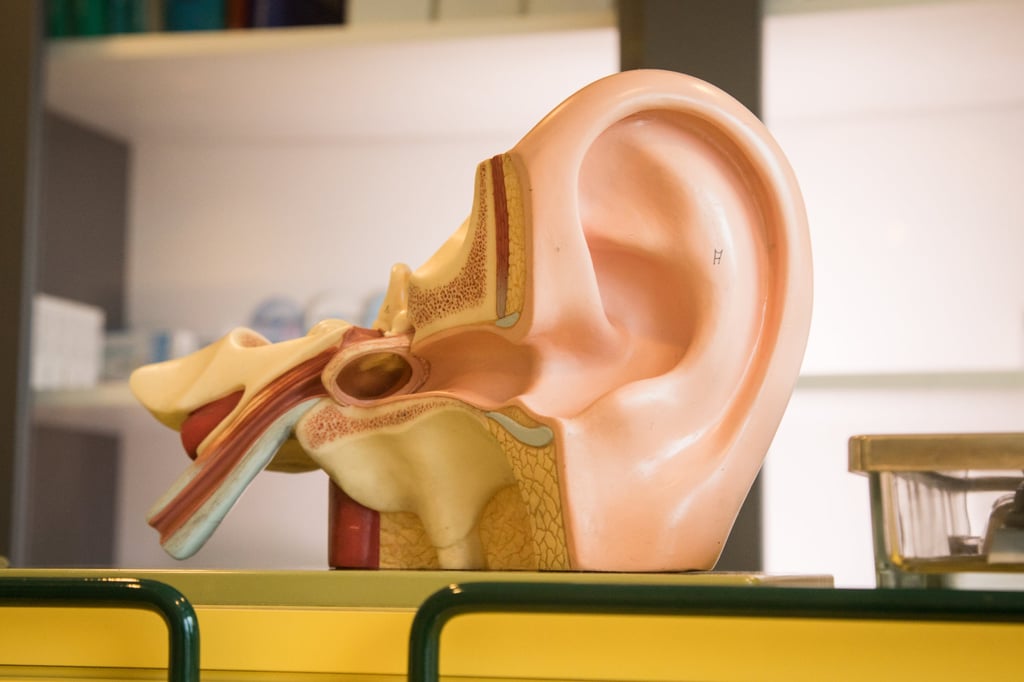 Earwax is a naturally occurring substance produced in the ear canal to protect and clean the ear. Photo: dpa