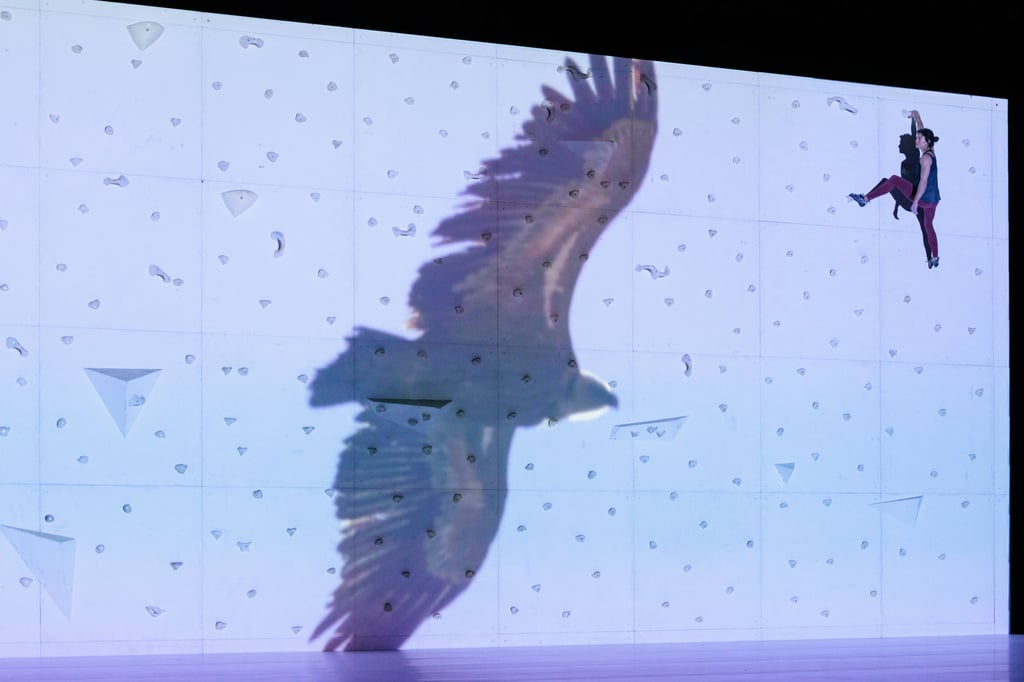 Rachid Ouramdane, head of Paris’ Chaillot National Dance Theater, in Corps extrêmes. Photo: Pascale Cholette