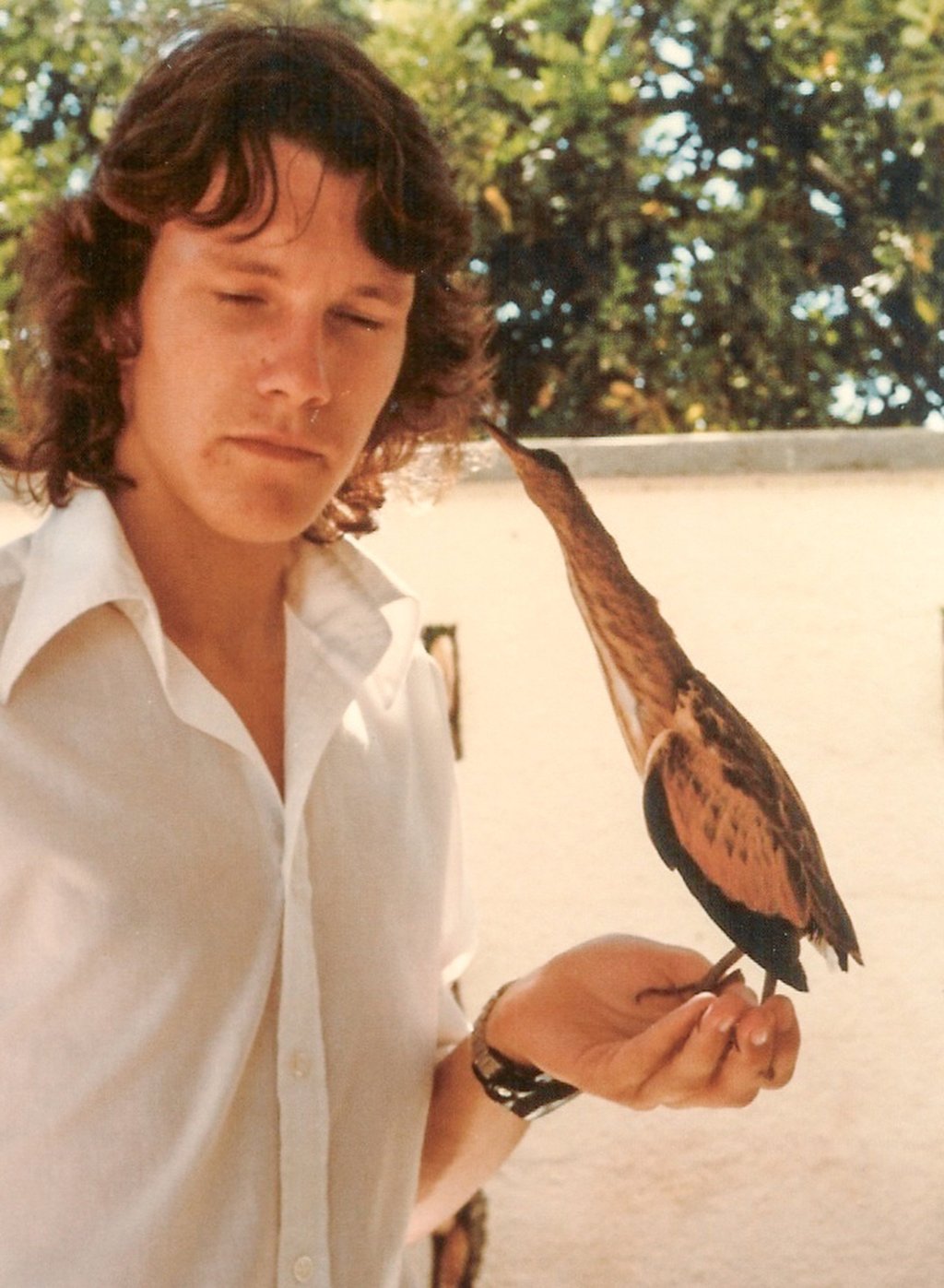Gary Ades with a little bittern he rescued in Cyprus, in 1979. Photo: courtesy Gary Ades Gary Ades with a little bittern he rescued in Cyprus, in 1979. Photo: courtesy Gary Ades