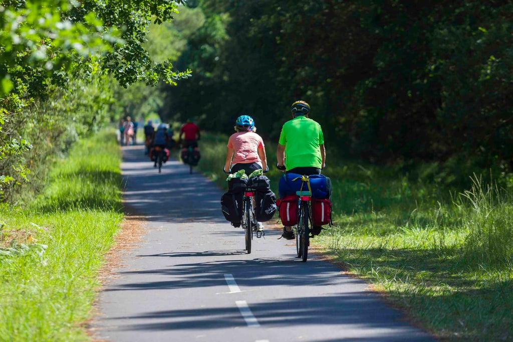 Cyclists ride along La Vélodyssée. Photo: Universal Images Group via Getty Images Cyclists ride along La Vélodyssée. Photo: Universal Images Group via Getty Images