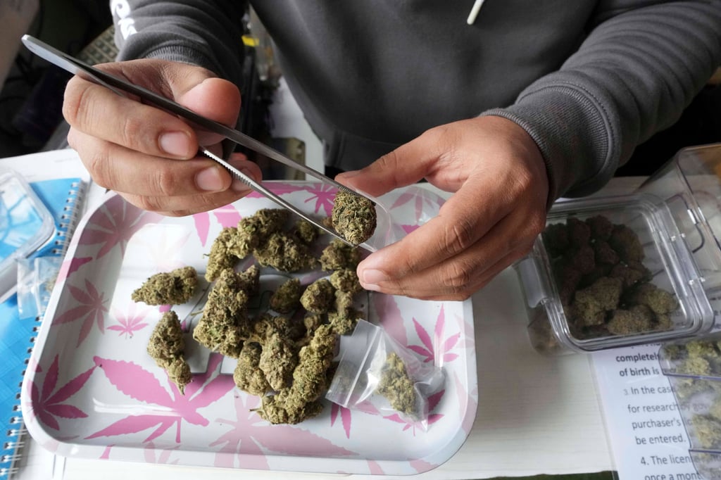 Staff prepares marijuana for a customer at a cannabis shop after Thailand started banning the sale of cannabis to those without a prescription in Bangkok on June 27. Photo: AP Staff prepares marijuana for a customer at a cannabis shop after Thailand started banning the sale of cannabis to those without a prescription in Bangkok on June 27. Photo: AP