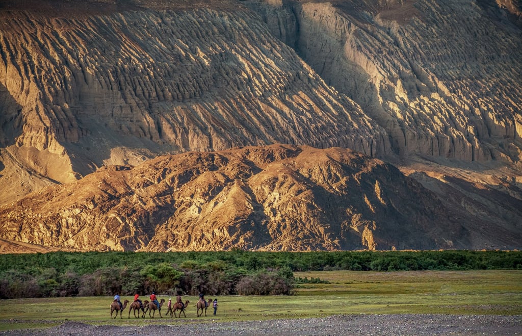 Camel safaris are a popular activity among visitors to Hundar village, India. Photo: Shutterstock