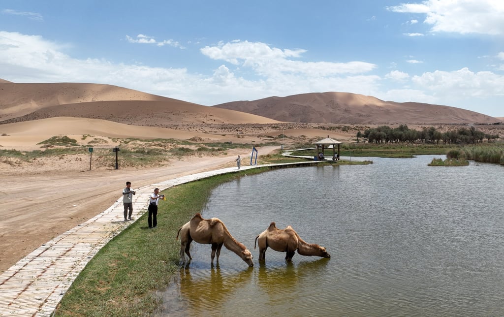 Tourists take photos of camels in the Badain Jaran Desert in China’s Inner Mongolia autonomous region. Photo: Xinhua Tourists take photos of camels in the Badain Jaran Desert in China’s Inner Mongolia autonomous region. Photo: Xinhua