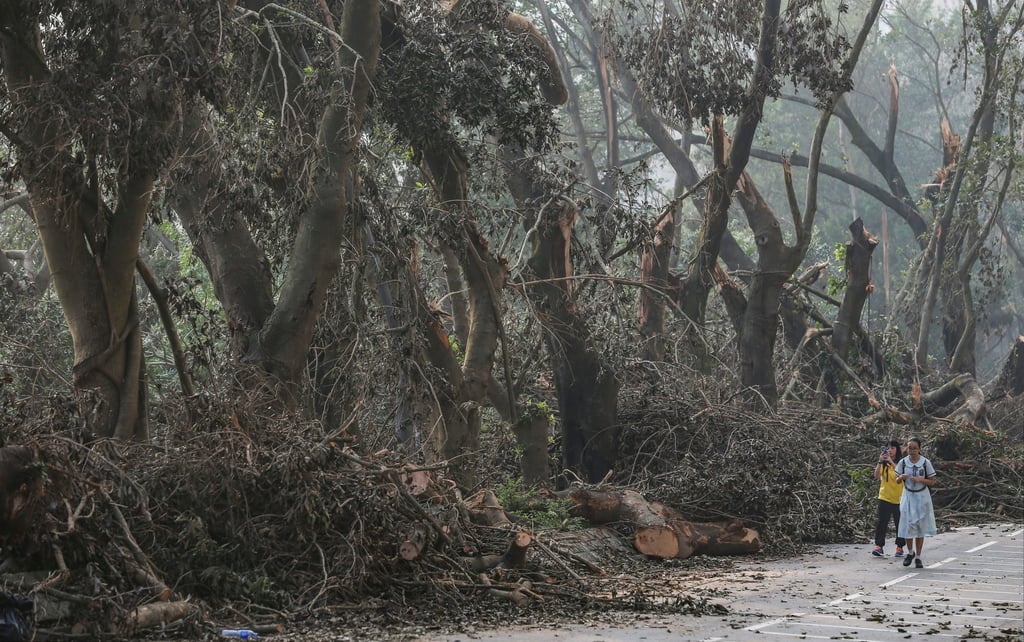 Para siswa berjalan melewati pepohonan di Jalan Tin Ping di Sheung Shui setelah Mangkhut melanda Hong Kong. Sam Tsang