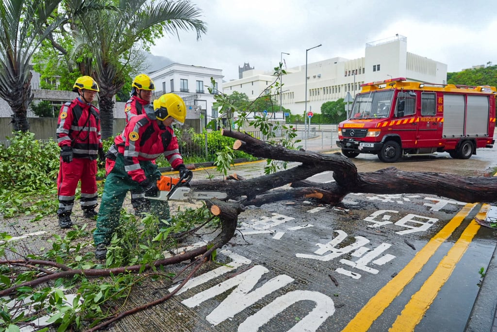 Petugas pemadam kebakaran membersihkan pohon tumbang di Jalan Tim Fuk, Kowloon Tong. Foto: May Tse