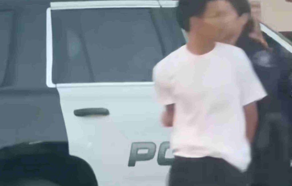 Immigration agents swooped to arrest Tang in Los Angeles on July 19. Photo: Douyin Immigration agents swooped to arrest Tang in Los Angeles on July 19. Photo: Douyin