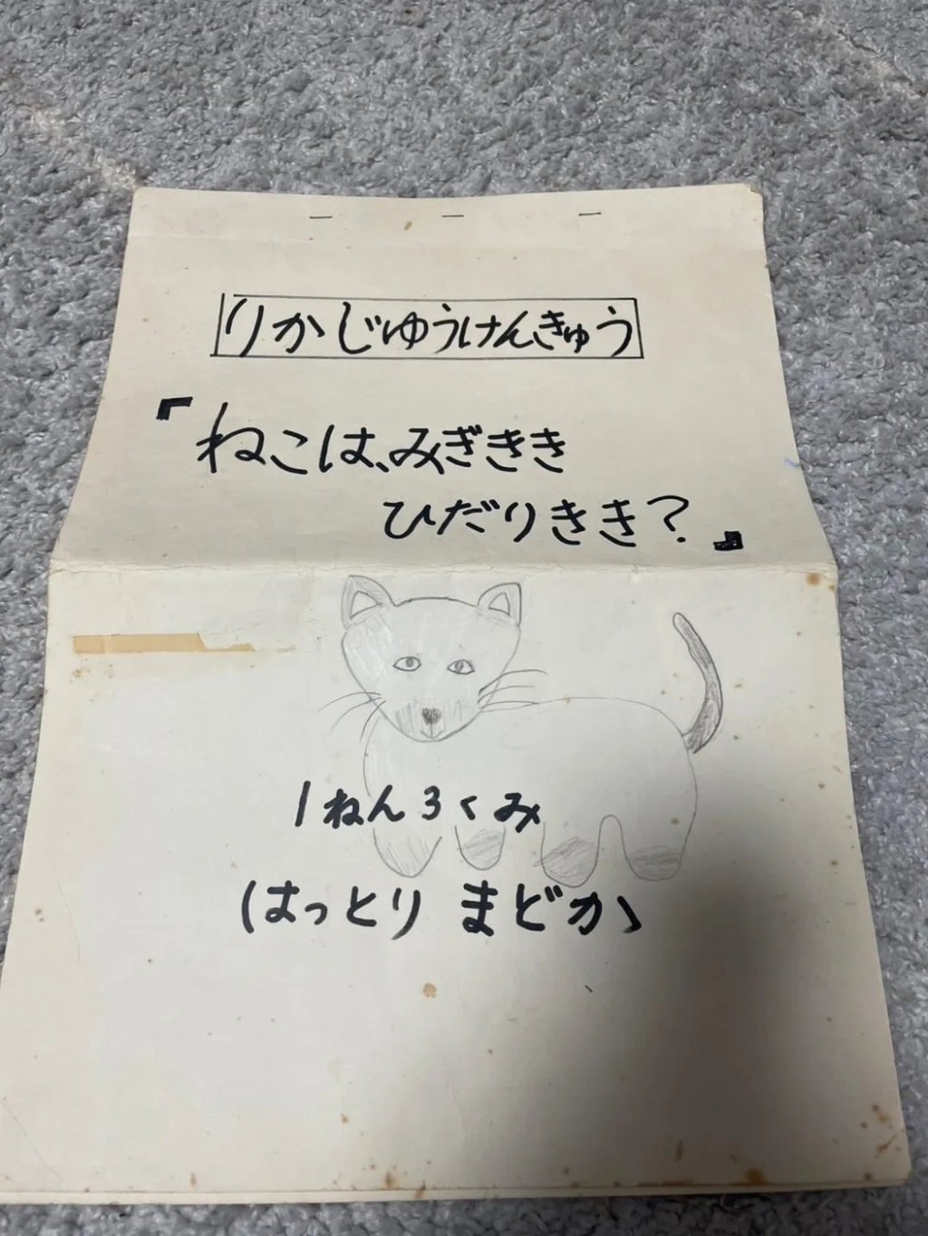 The paper she produced as a child, above, was on the subject of cat-paw dominance. Photo: Weixin