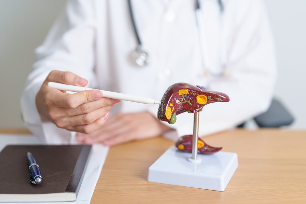 Once patients are diagnosed with hepatitis B, it is important that they seek advice from medical professionals to identify suitable plans for their care and treatment. Photo: Shutterstock