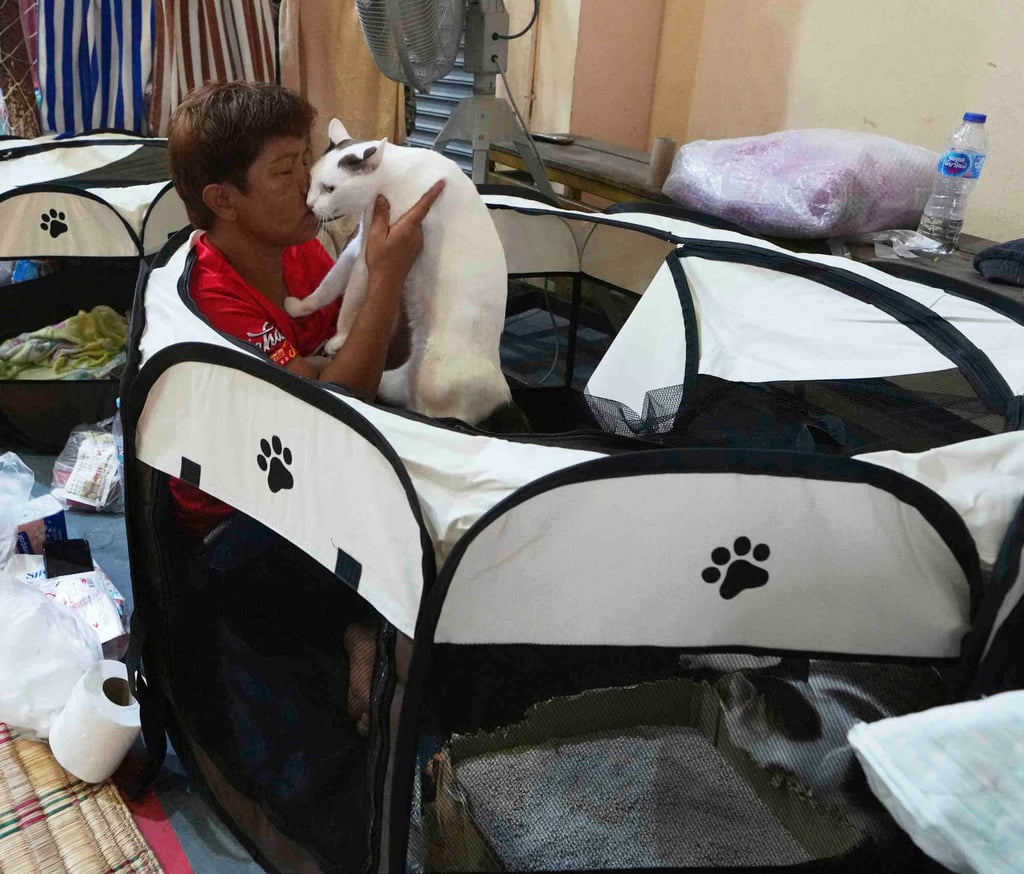 Pornpan Sooksai holds her cat, Kung Fu, at an evacuation centre on Friday amid the Thai-Cambodia border conflict. Photo: AP