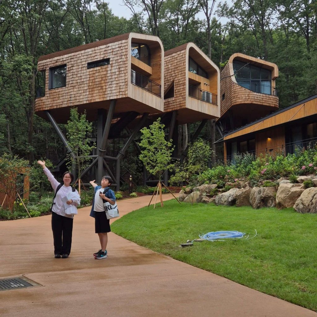 A night at one of the tree houses costs US$180 during peak season. Photo: Instagram/toypapa_seoul A night at one of the tree houses costs US$180 during peak season. Photo: Instagram/toypapa_seoul