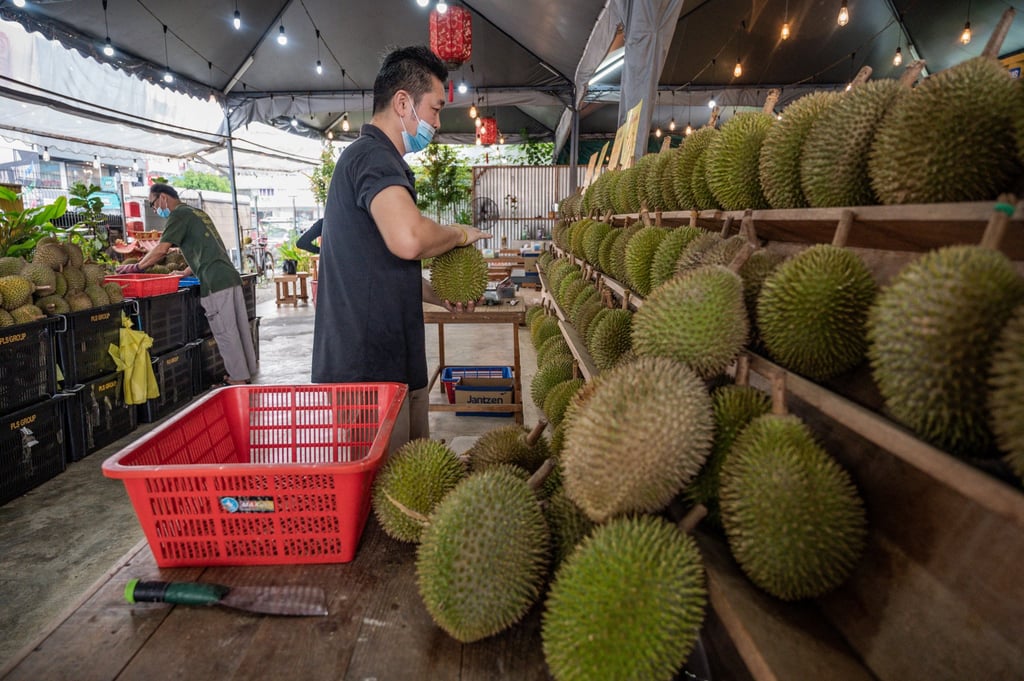 A shop selling durians in Kuala Lumpur, Malaysia. The native Southeast Asian fruit is renowned for its unique and strong flavour. Photo: AFP A shop selling durians in Kuala Lumpur, Malaysia. The native Southeast Asian fruit is renowned for its unique and strong flavour. Photo: AFP