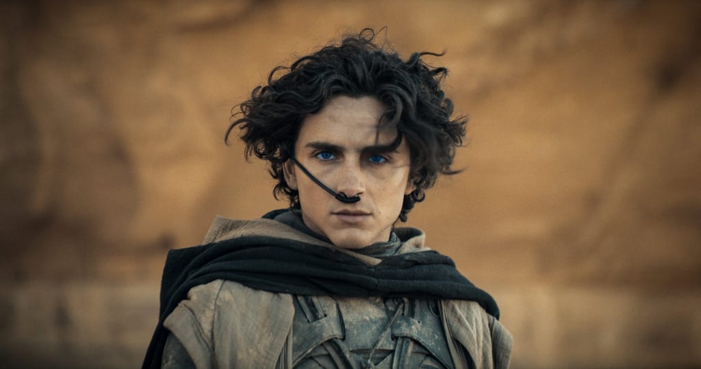 Timothee Chalamet in a still from Dune: Part Two. Photo: Warner Bros. Pictures