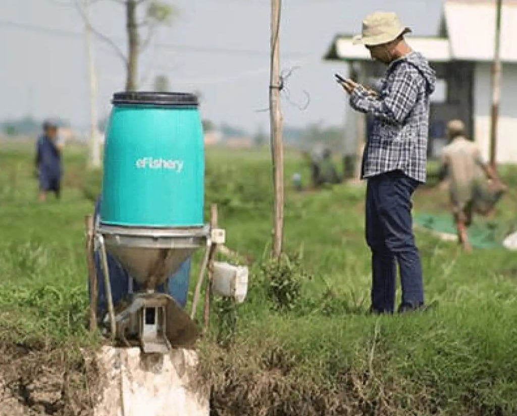 EFishery supplies smart feeders to fish and shrimp farmers in Indonesia. Photo: eFishery