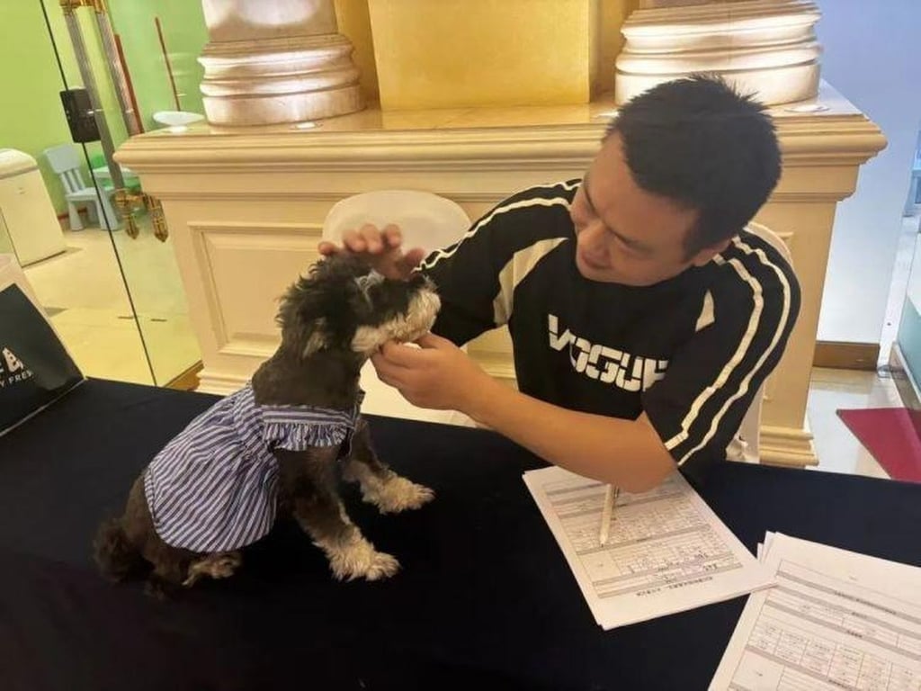 The health of the dogs is checked and they are all vaccinated before taking up their duties. Photo: handout The health of the dogs is checked and they are all vaccinated before taking up their duties. Photo: handout