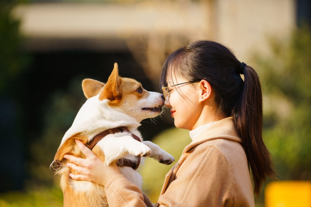 Grieving animal lovers are conned in an online chat group for people in a similar situation to themselves. Photo: Getty Images
