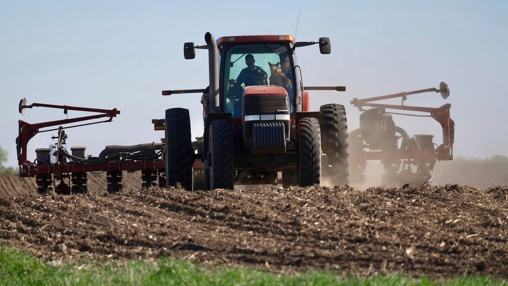 Soybeans are planted on a farm in Minnesota. Photo: AP