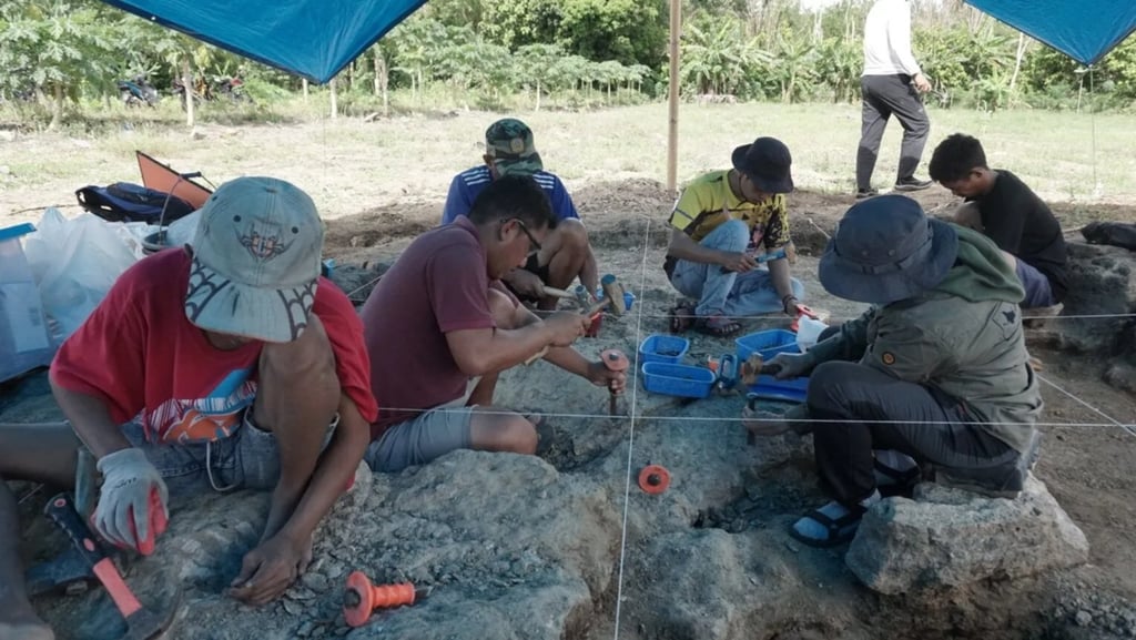 Excavations at Calio in southern Sulawesi, Indonesia. Photo: BRIN/Handout