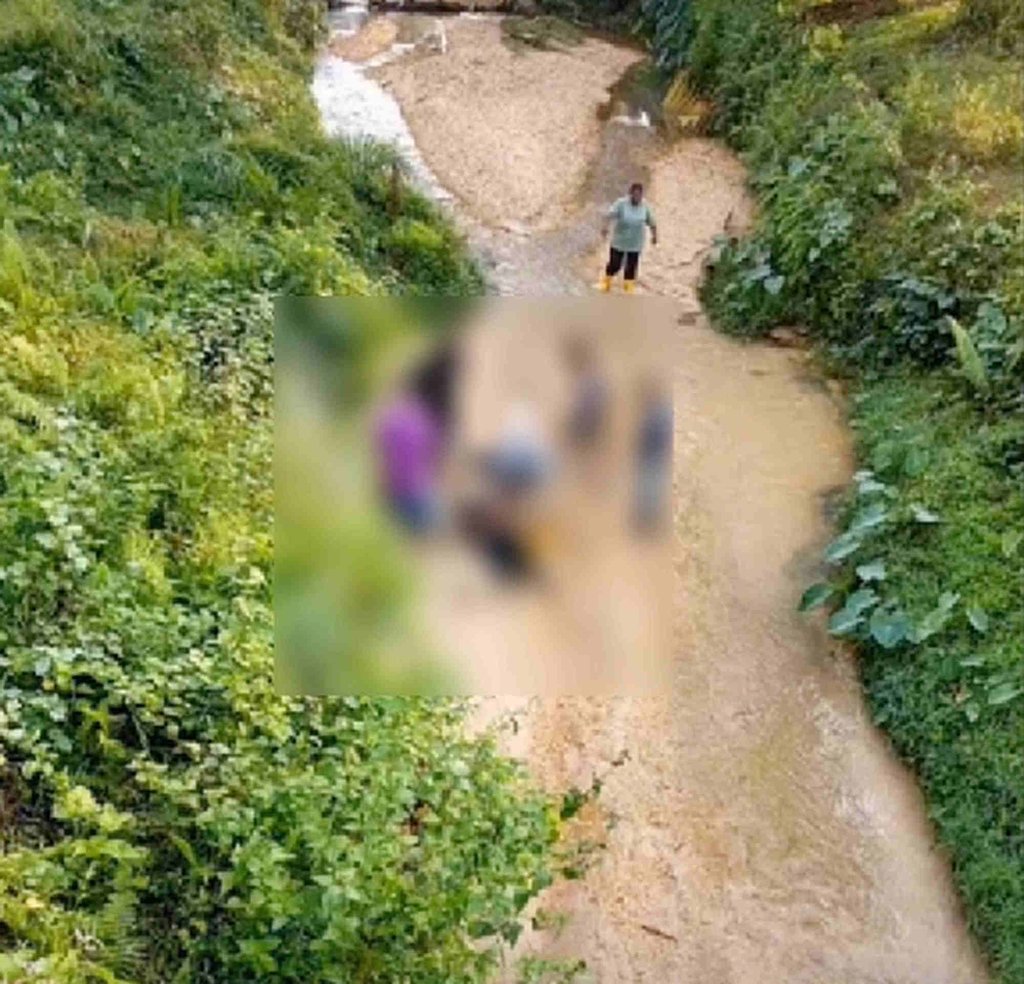 A seven-year-old boy and three of his friends were being chased by wild cattle into a river near his village in the northern Malaysian state of Kelantan. Photo: Streamable