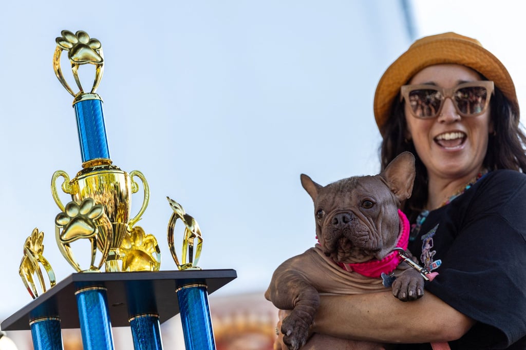 A dog named Petunia wins the annual World’s Ugliest Dog Contest at the Sonoma-Marin Fair in Santa Rosa, California, on August 8. Photo: Reuters A dog named Petunia wins the annual World’s Ugliest Dog Contest at the Sonoma-Marin Fair in Santa Rosa, California, on August 8. Photo: Reuters