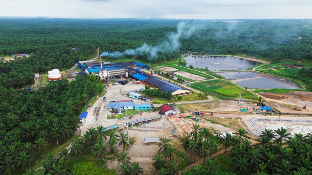 Oil palm fruit bunches are sent to a palm oil production facility like this one in Sandakan, where they are sterilised and undergo processing to extract the crude palm oil. Oil palm fruit bunches are sent to a palm oil production facility like this one in Sandakan, where they are sterilised and undergo processing to extract the crude palm oil.
