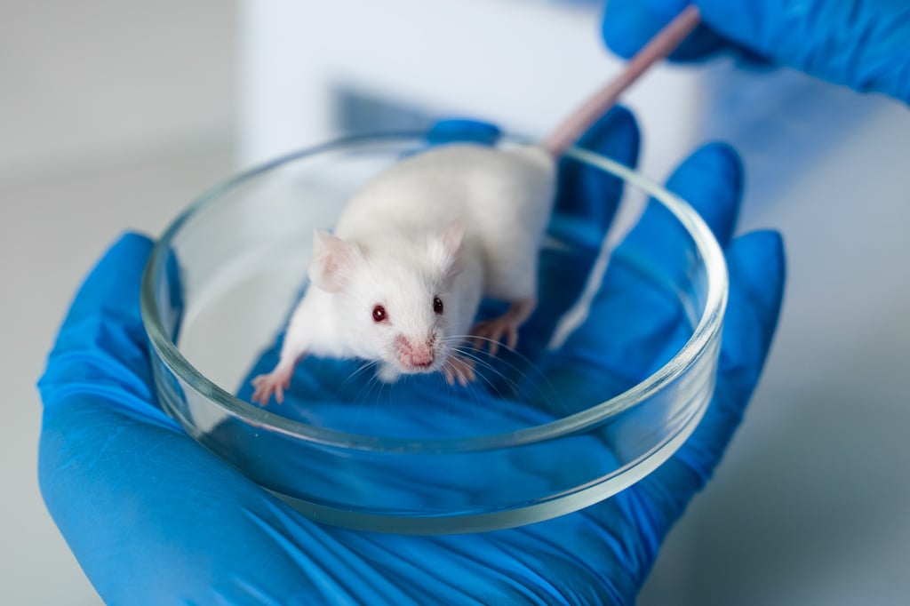 The research team grafted the dopamine-producing cells into depression-model mice. Photo: Shutterstock