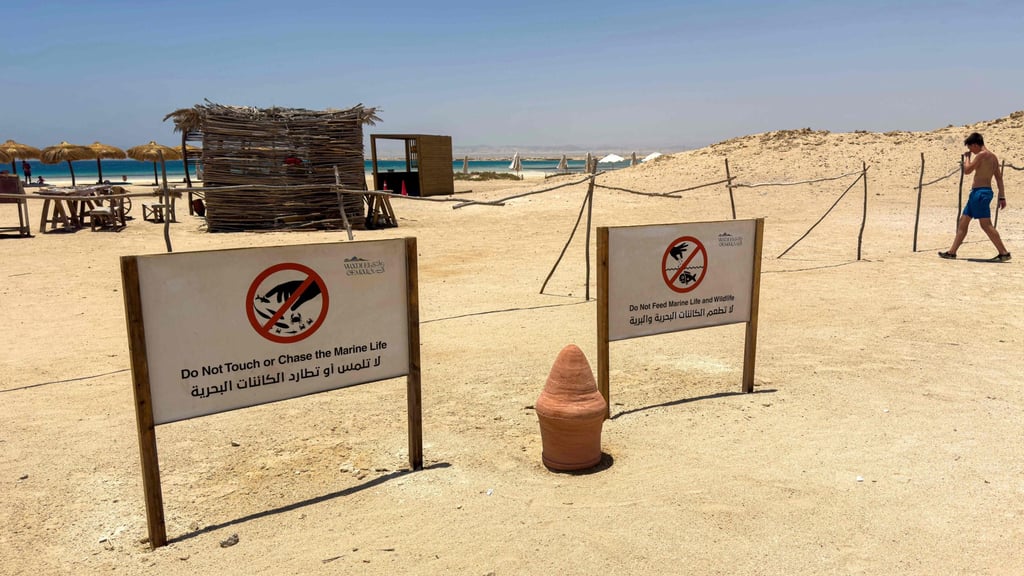 Signs urge visitors to respect wildlife at the Ras Hankorab beach in southern Egypt. Photo: AFP Signs urge visitors to respect wildlife at the Ras Hankorab beach in southern Egypt. Photo: AFP