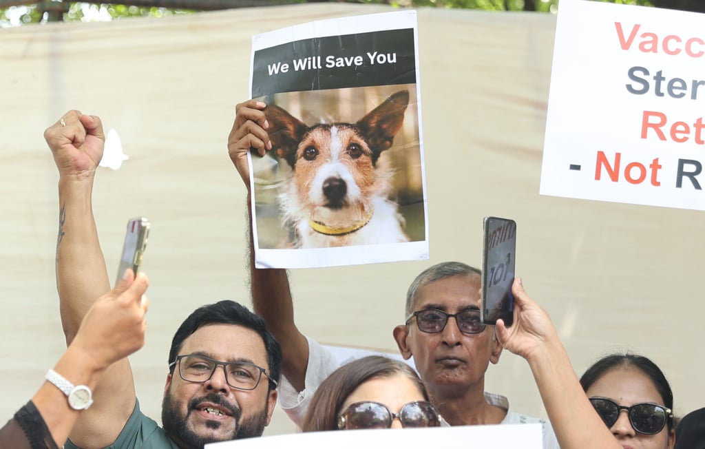 People protest in solidarity with stray dogs in New Delhi, India on Thursday. Photo: EPA People protest in solidarity with stray dogs in New Delhi, India on Thursday. Photo: EPA