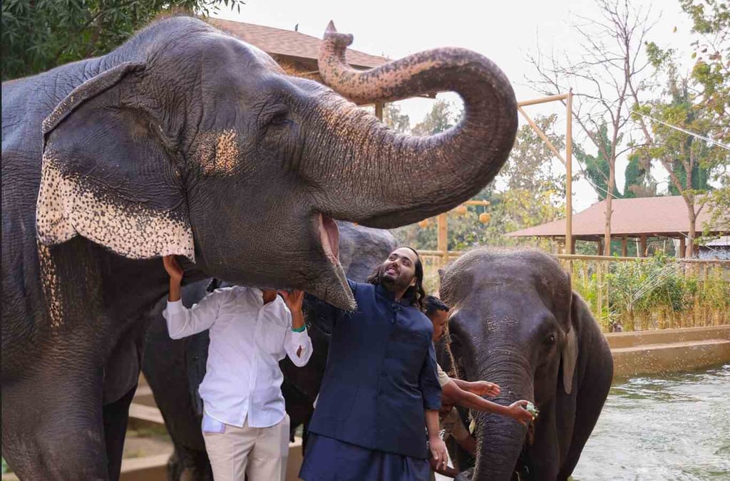 Anant Ambani at Vantara. Zoo in India. Photo: Handout Anant Ambani at Vantara. Zoo in India. Photo: Handout