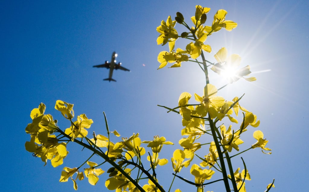 Observers say trade wars will bring “headwinds” to the aviation industry, rather than a crisis. Photo: Getty Images