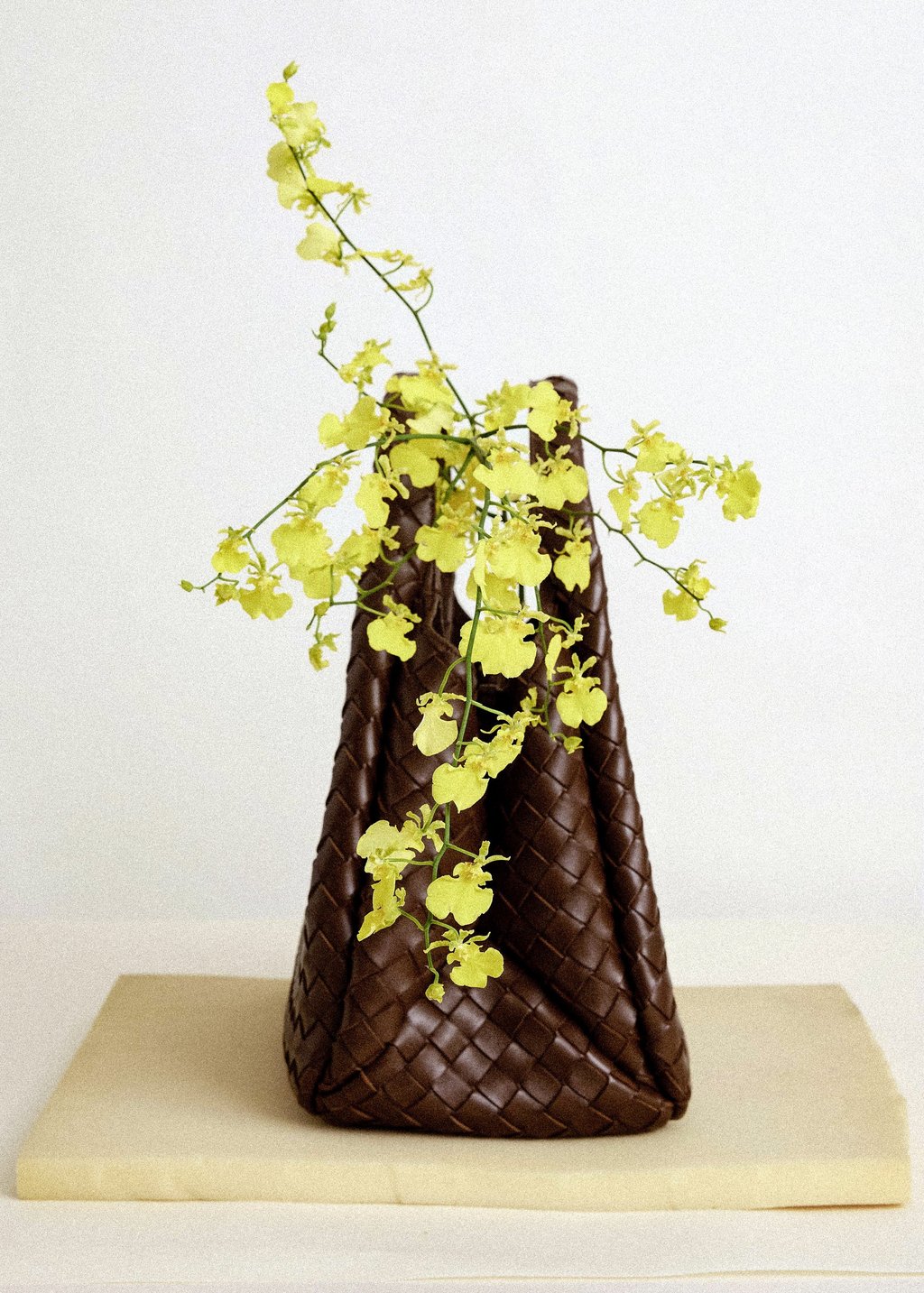 Bag: Bottega Veneta Bag: Bottega Veneta