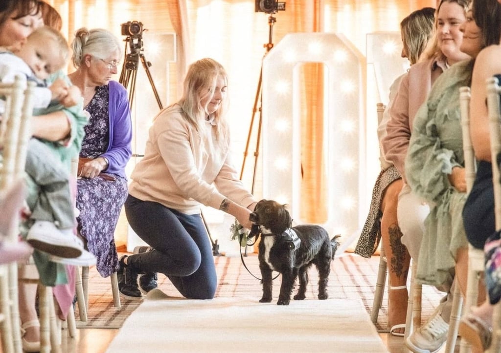 Waggy Weddings usually organises for dogs to wait at the end of the aisle to greet the married couple on their way out. Photo: Facebook/Waggy Wedding Events
