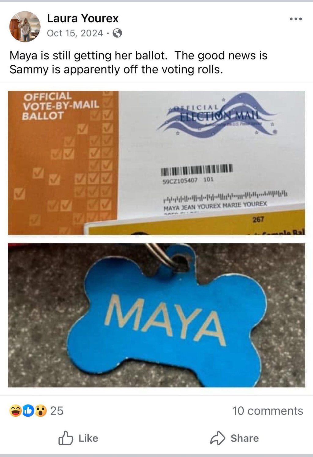 Laura Lee Yourex posted photos of Maya’s dog tag and a vote-by-mail ballot sent to her. Image: Facebook/Laura Yourex Laura Lee Yourex posted photos of Maya’s dog tag and a vote-by-mail ballot sent to her. Image: Facebook/Laura Yourex