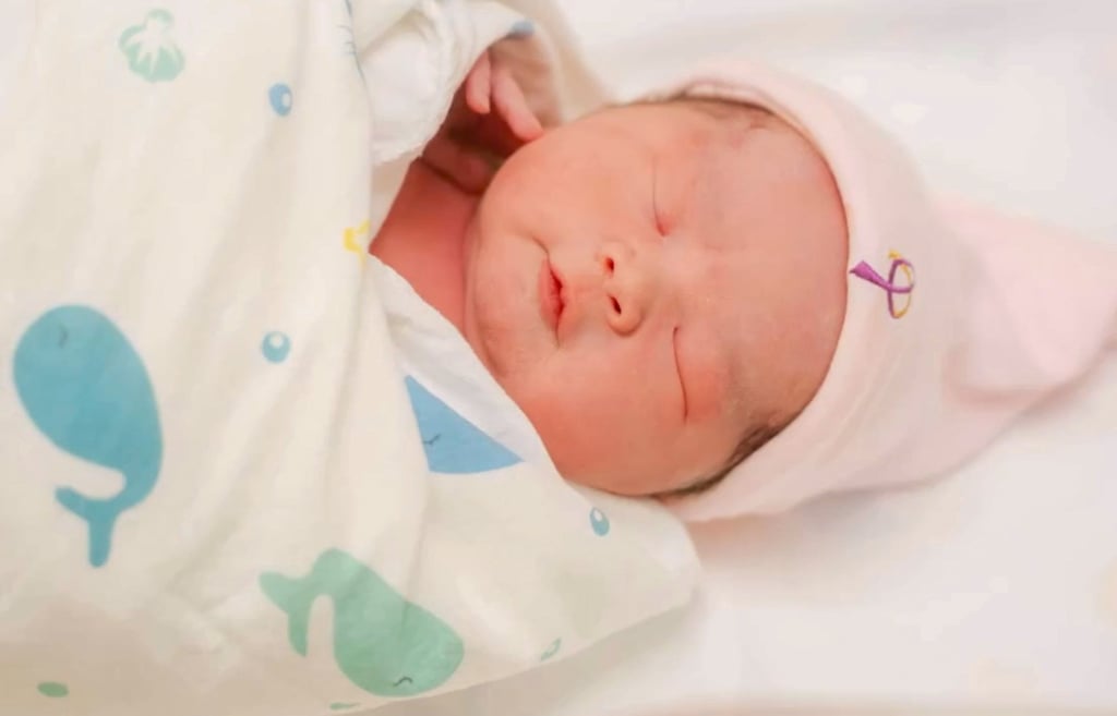 Chan Lai-lai’s baby daughter, who was conceived via IVF and born on Saturday. Photo: Handout