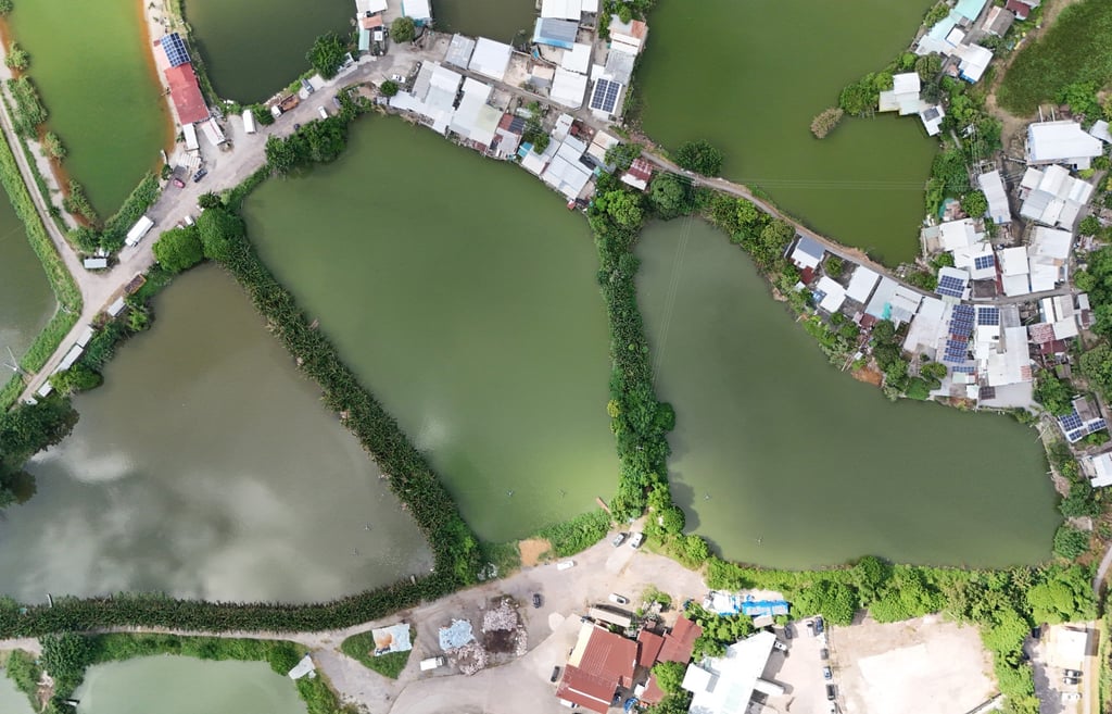 Vues de Santine's Fish Pond, le site de Hub Innovation and Technology (I&T) du gouvernement du gouvernement (I&T). Photo: Edmond, etc. Vues de Santine's Fish Pond, le site de Hub Innovation and Technology (I&T) du gouvernement du gouvernement (I&T). Photo: Edmond, etc.