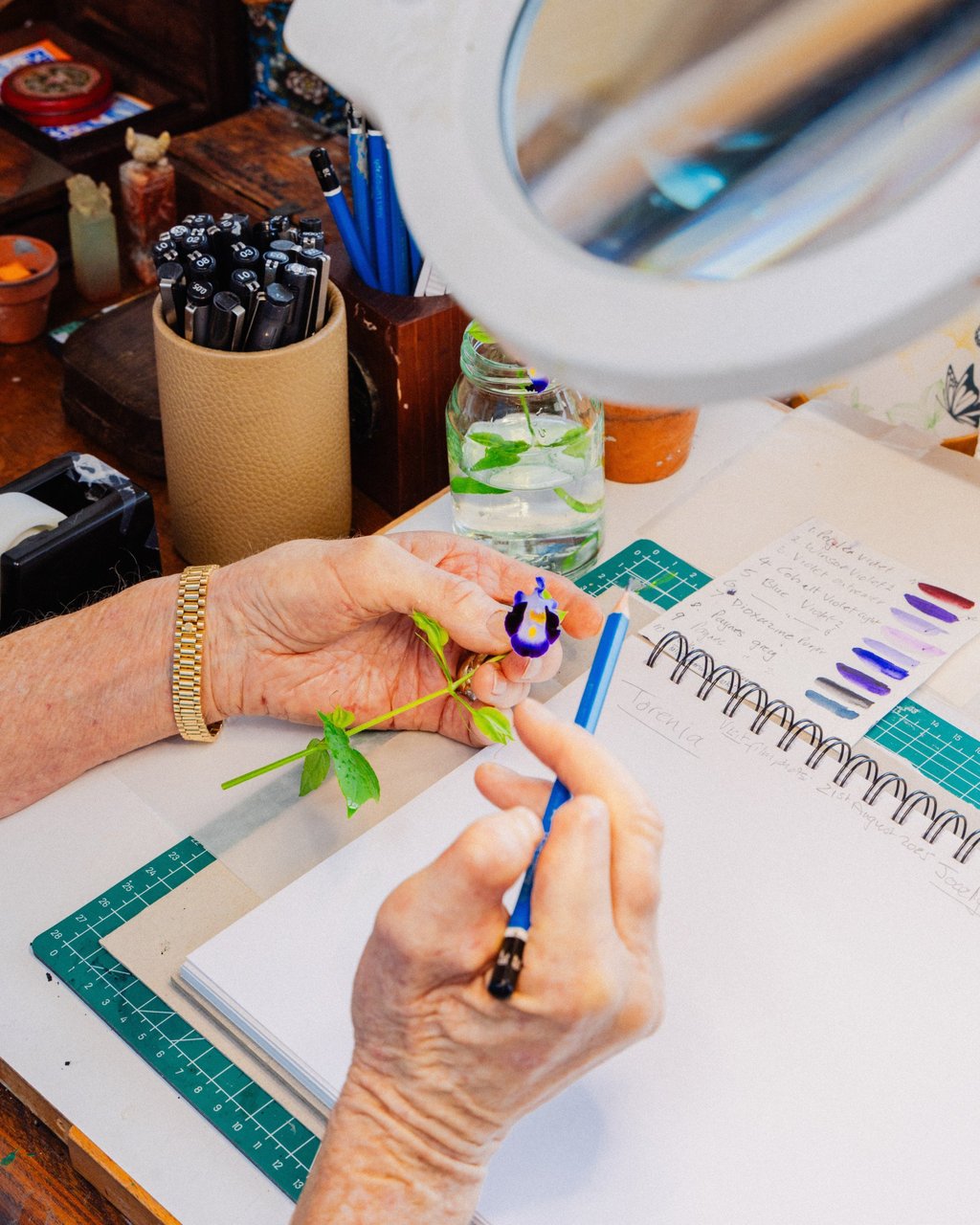 Sally Bunker at work on one of her botanical artworks. Photo: Jocelyn Tam Sally Bunker at work on one of her botanical artworks. Photo: Jocelyn Tam