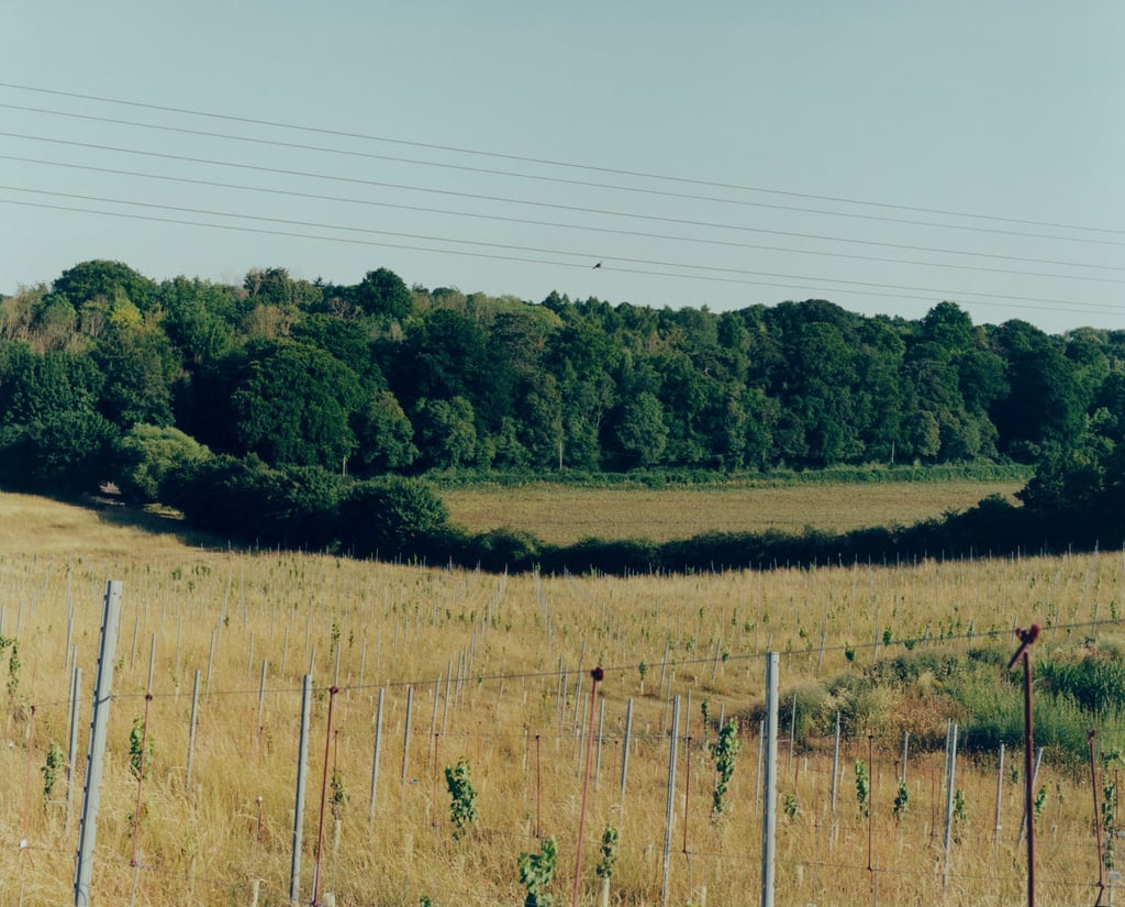 Les fermes de Kresse Wesling et James Les fermes de Kresse Wesling et James