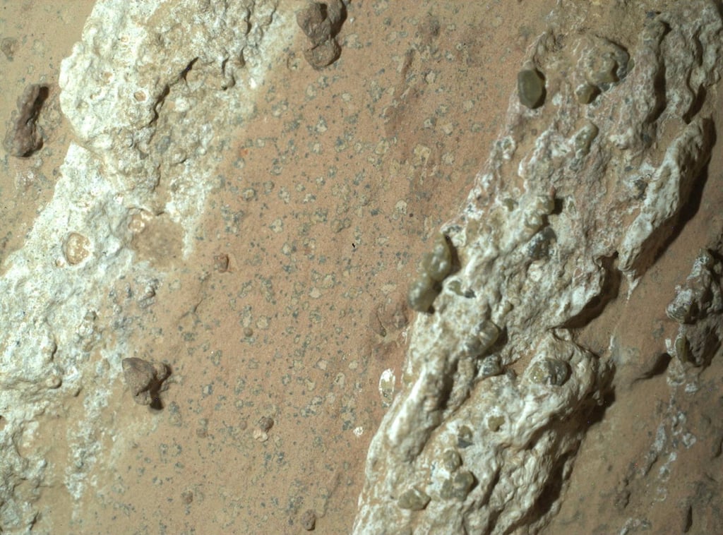 Martian rock with features resembling leopard spots. Photo: Nasa/JPL-Caltech/MSSS via Reuters
