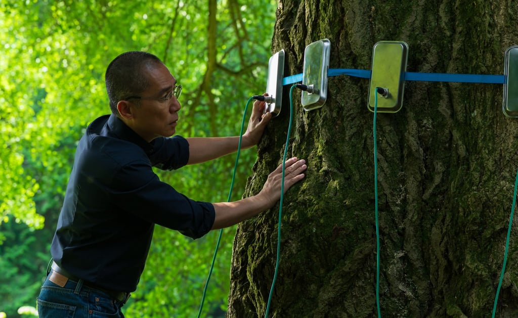 Tony Leung Chiu-wai’s character studies a gingko tree in a still from Silent Friend, directed by Ildikó Enyedi. Photo: Lenke Szilagyi