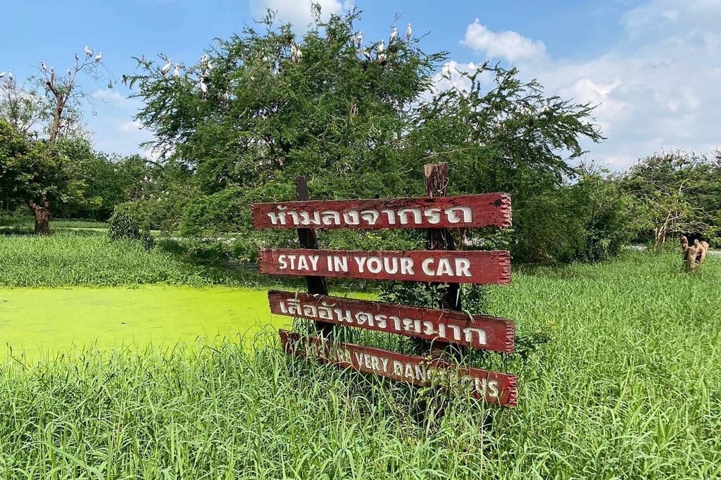 A sign warns visitors to stay in their vehicles at the Safari World wildlife park in Bangkok. Photo: Thailand’s Department of National Parks, Wildlife and Plant Conservation / AFP