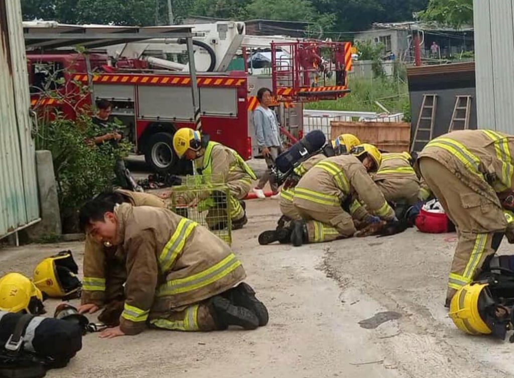 Firefighters urgently working to revive the animals. Photo: Animal Post