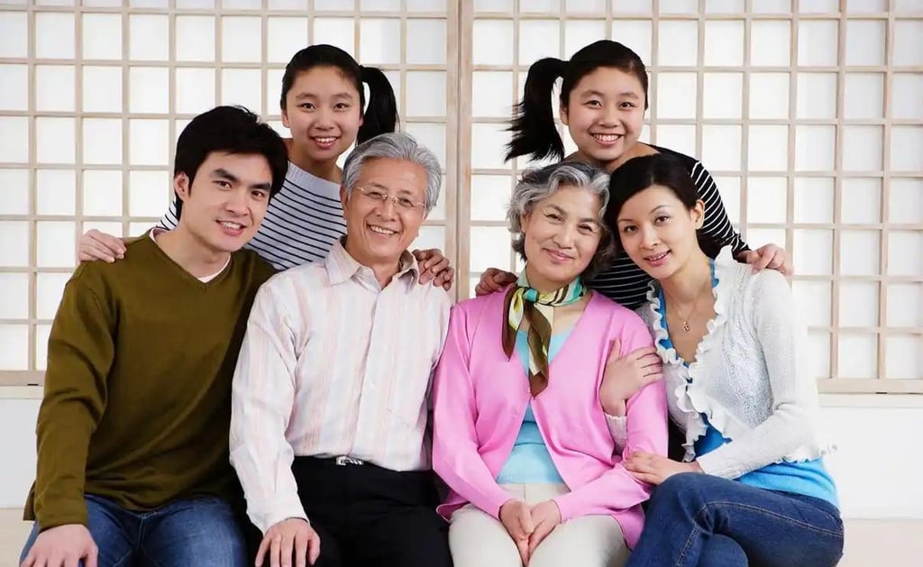 Economic pressures and geographical distance mean many children are unable to offer the support and companionship their edlerly parents need. Photo: Handout