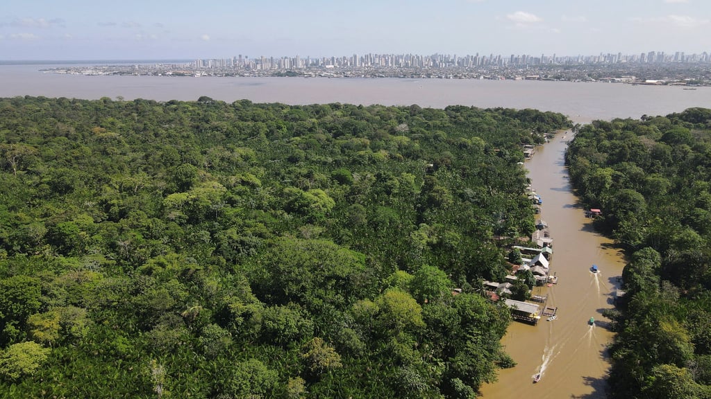 A drone image shows the Amazon rainforest and the city of Belem in the distance ahead of COP30, at Ilha do Combu, in Belem, Para state, Brazil. Photo: Reuters