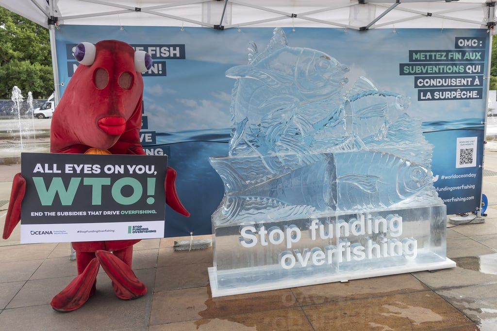 Oceana’s Finley, the fish mascot, poses during a World Ocean Day event at the Place des Nations in Geneva, Switzerland, on June 8, 2022, ahead of a WTO conference seeking agreement on the fisheries subsidies agreement. Photo: EPA-EFE