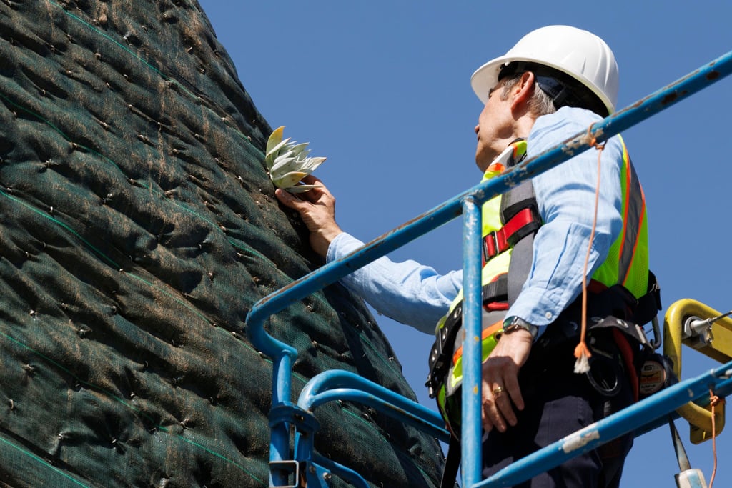 Jeff Koons plants a ceremonial succulent on his latest Split-Rocker, the first plant in the installation that will feature 50,000 plants and flowers. Photo: Los Angeles Times via Getty Images